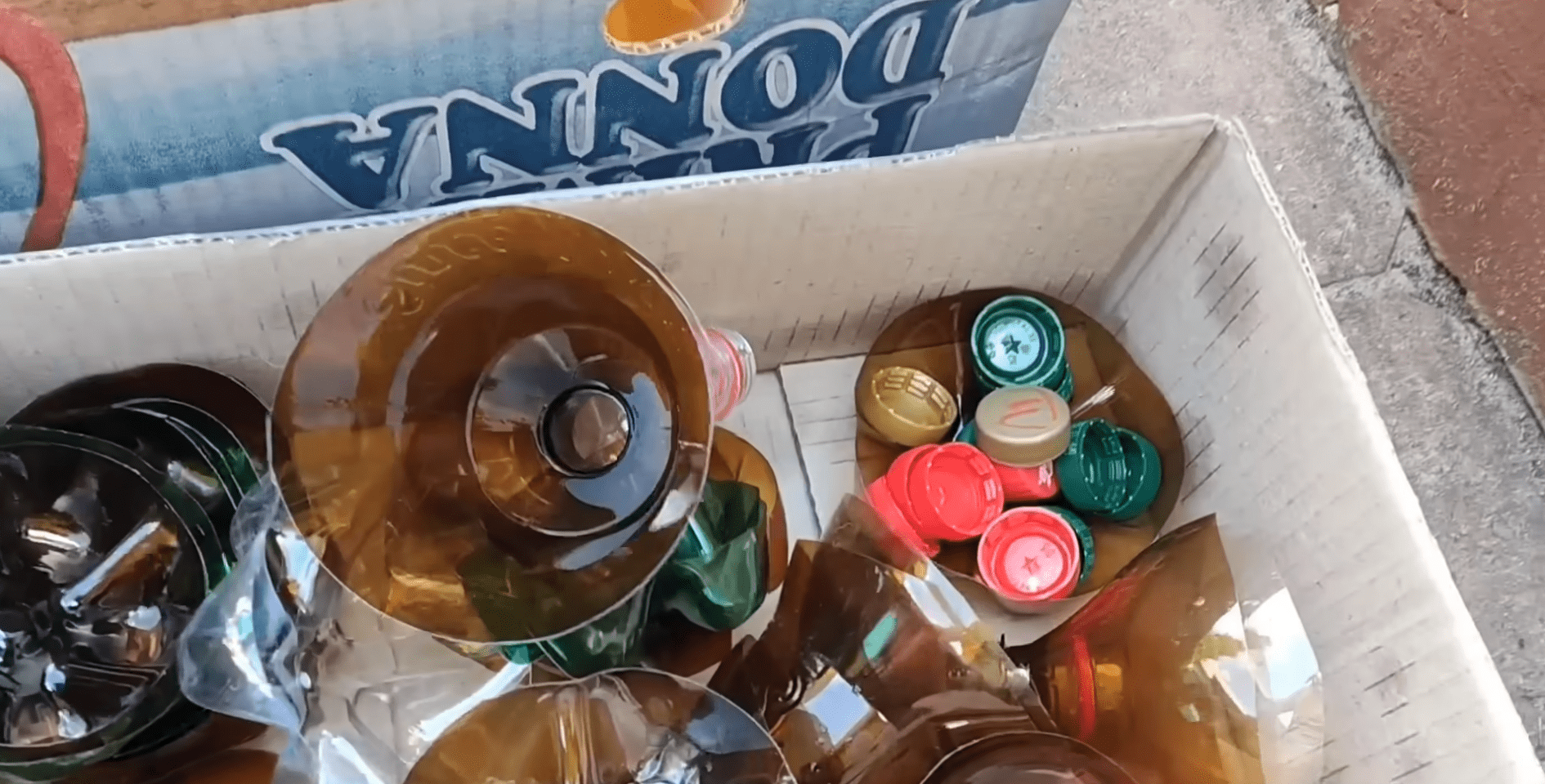 Городники розповіли, як зробити теплицю з пластикових пляшок. Фото: YouTube