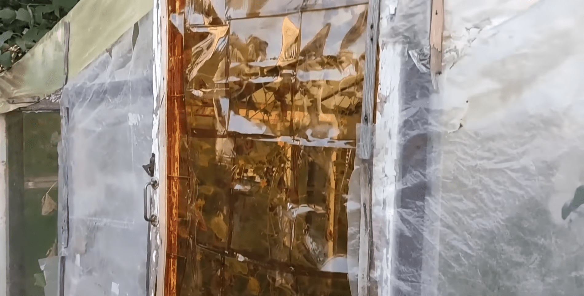 Городники розповіли, як зробити теплицю з пластикових пляшок. Фото: YouTube