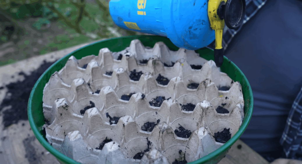 Лотки з-під яєць бережу, щоб зробити 10 корисних речей для дачі – викидати їх все одно що 500 грн у смітник 