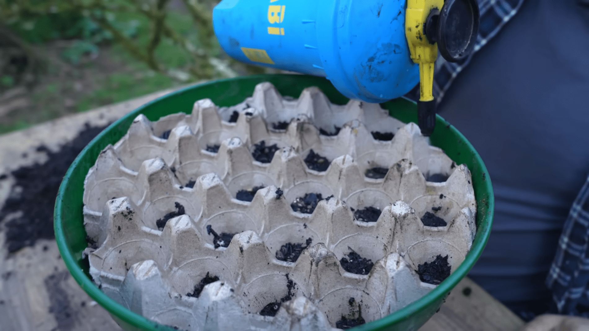 Дачники розповіли, як звичайні яєчні лотки можуть стати незамінними помічниками в саду. Фото: YouTube/GrowVeg