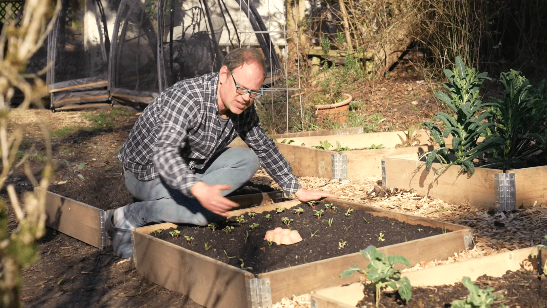 Дачники розповіли, як звичайні яєчні лотки можуть стати незамінними помічниками в саду. Фото: YouTube/GrowVeg