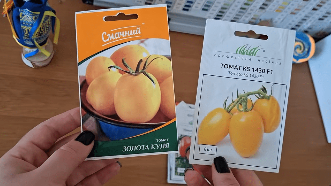 Городники розповіли, які томати варто посадити в 2026 році Фото: YouTube/З любов'ю до землі Городники розповіли, які томати варто посадити в 2026 році Фото: YouTube/З любов'ю до землі