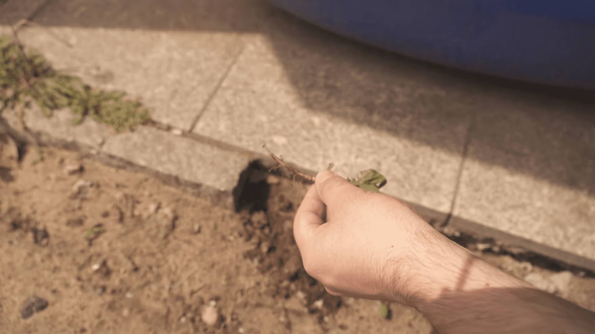 Городники розповіли про простий і дієвий спосіб боротьби з бур'янами. Фото: YouTube/Smart Fox