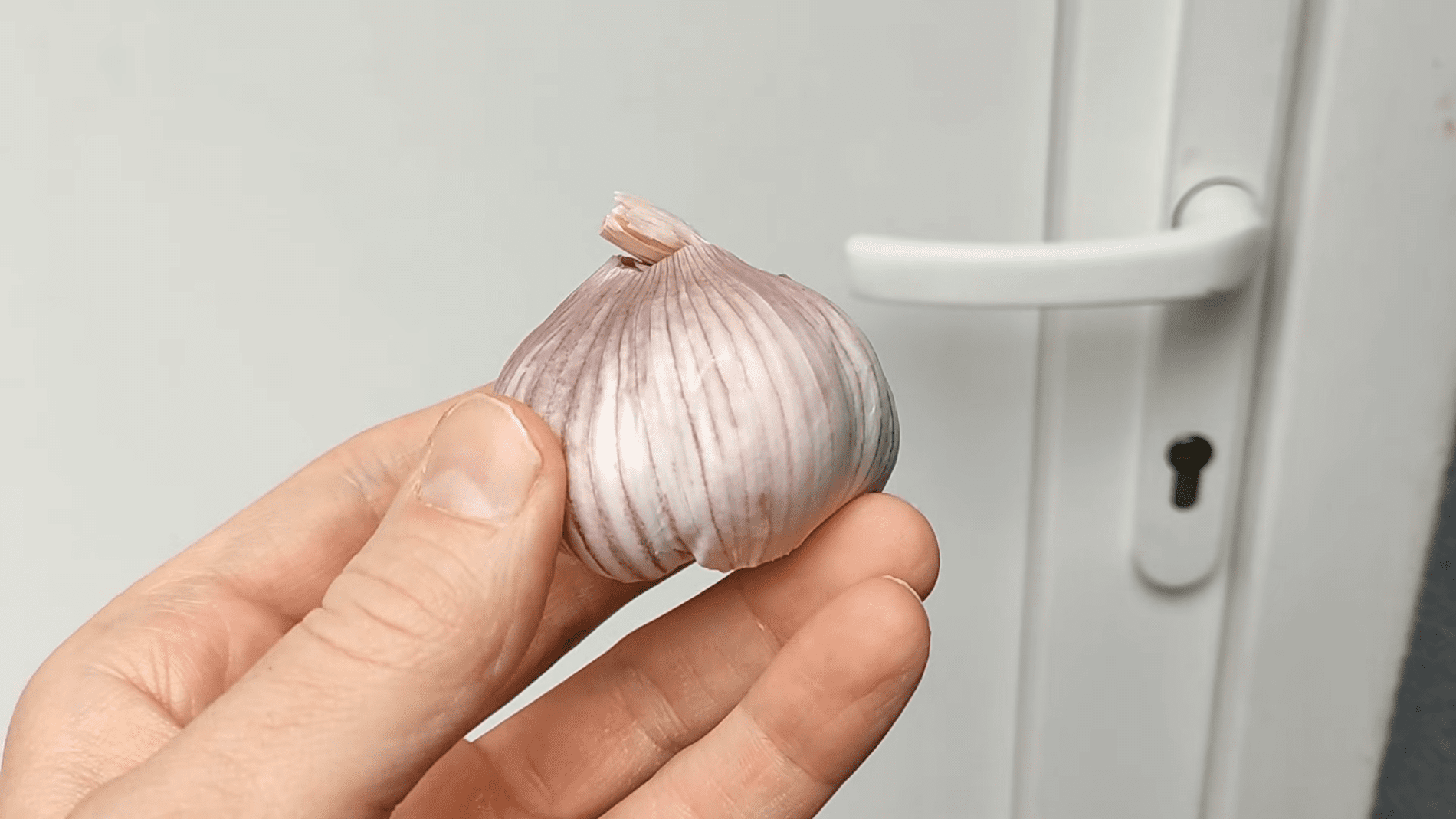 Експерти розповіли, як легко позбутися комах в квартирі. Фото:YouTube/PRIRODNOZDRAVLJE