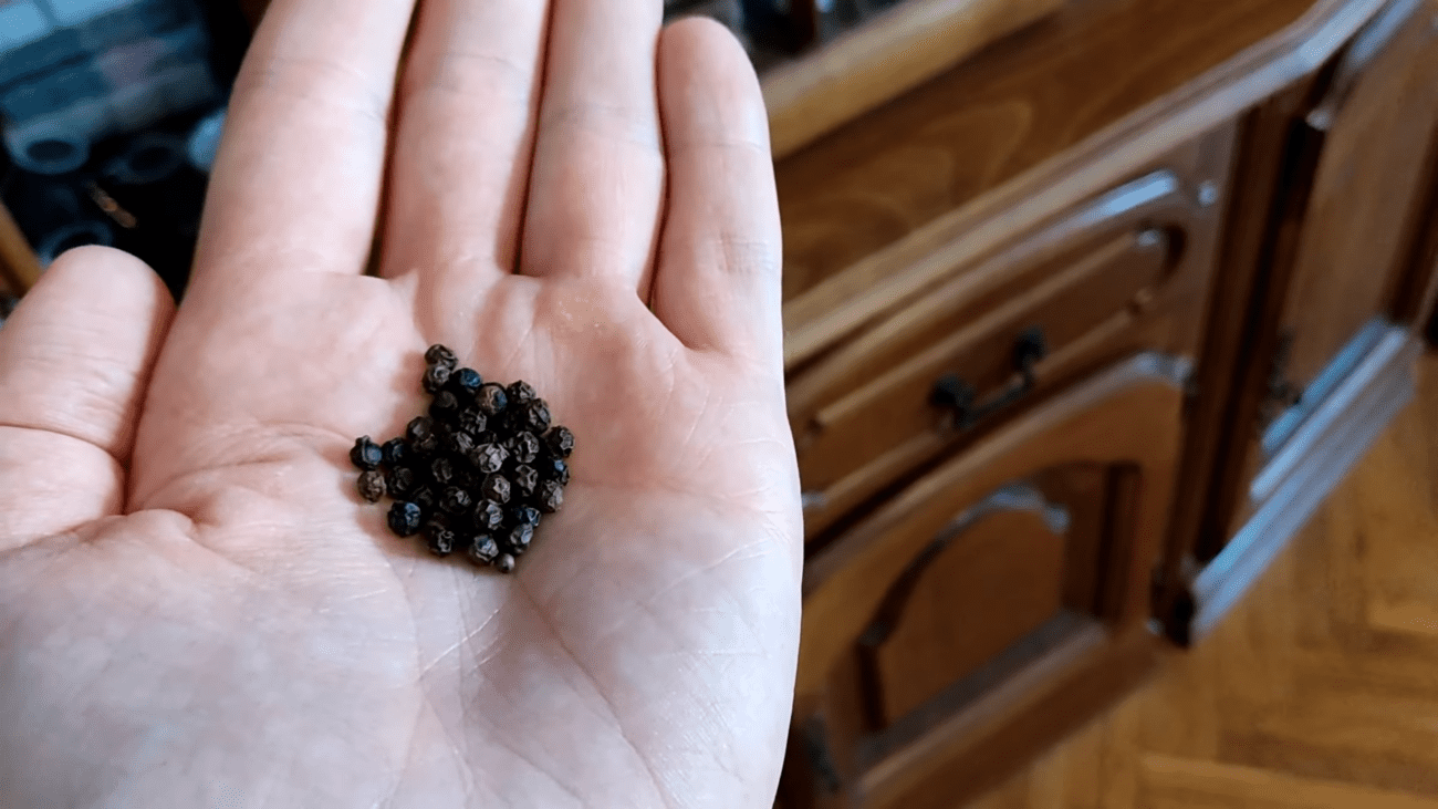 Господині розповіли, як швидко позбутись комах і мух в оселі. Фото:YouTube/PRIRODNOZDRAVLJE