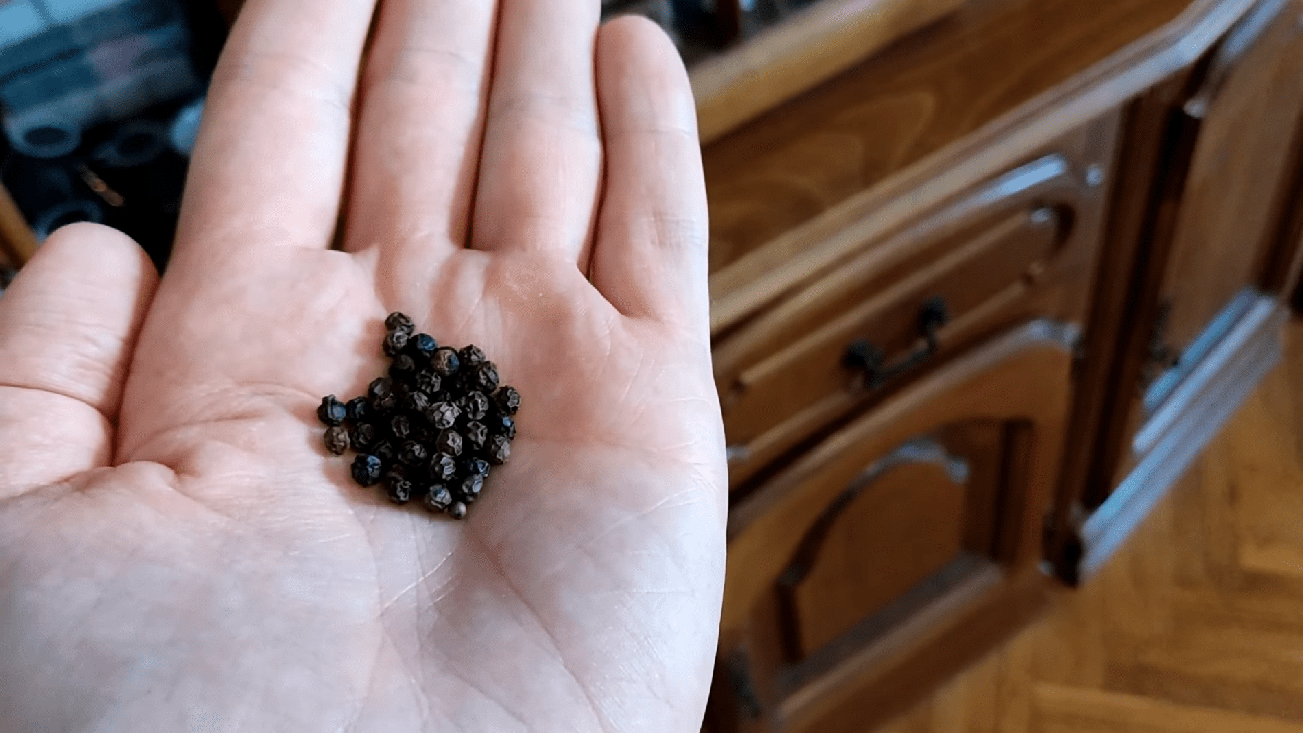 Господині розповіли, як швидко позбутись комах і мух в оселі. Фото:YouTube/PRIRODNOZDRAVLJE