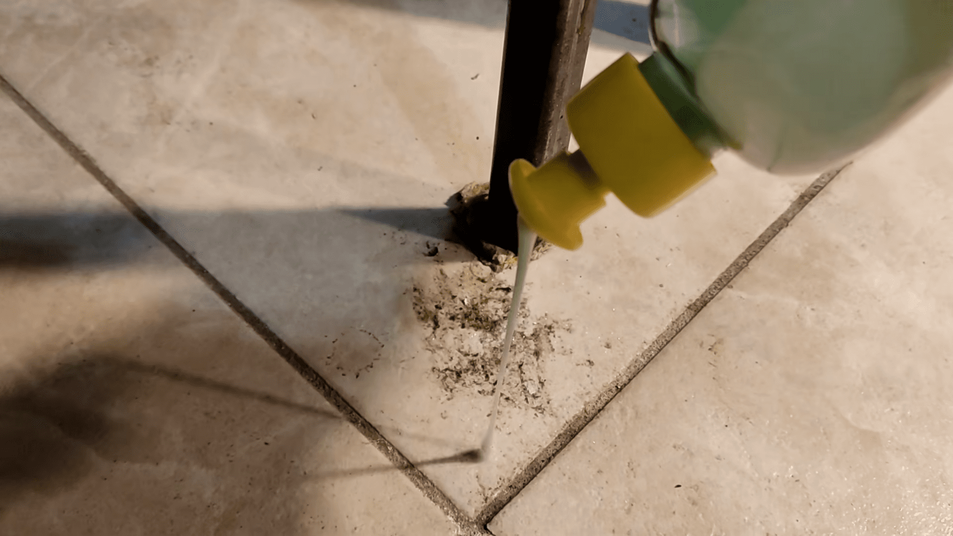 Експерти розповіли, як самостійно зробити чистячий засіб для прибирання. Фото: YouTube/PLANTS