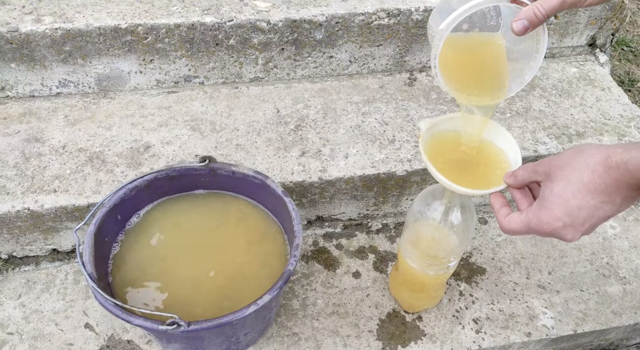 Садівники розповіли, як і чим обробити яблуні від лишайника. Фото: YouTube Family Garden Production