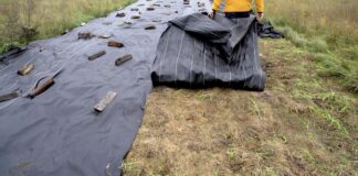 Городники розповіли, для чого потрібні різні сторони агроволокна. Фото: YouTube Життя за містом