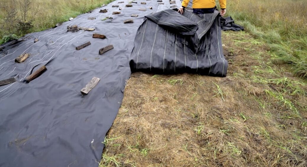 Чому на агроволокні 2 різні сторони? Думала – просто брак, а виявилося – це функціональний секрет 