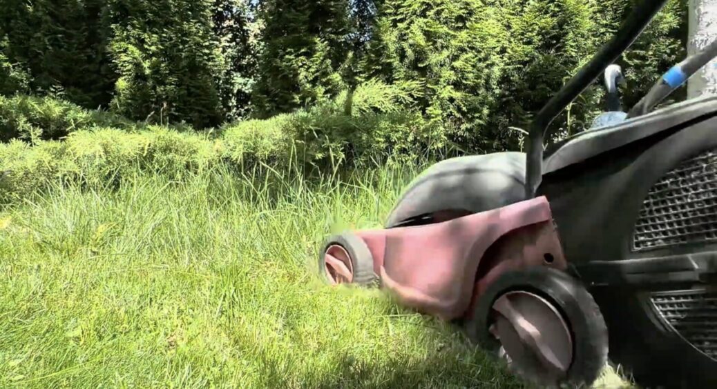 Викидати скошену траву з газону – все одно що 2000 грн у смітник: перетворюю її на “золотий” перегній 