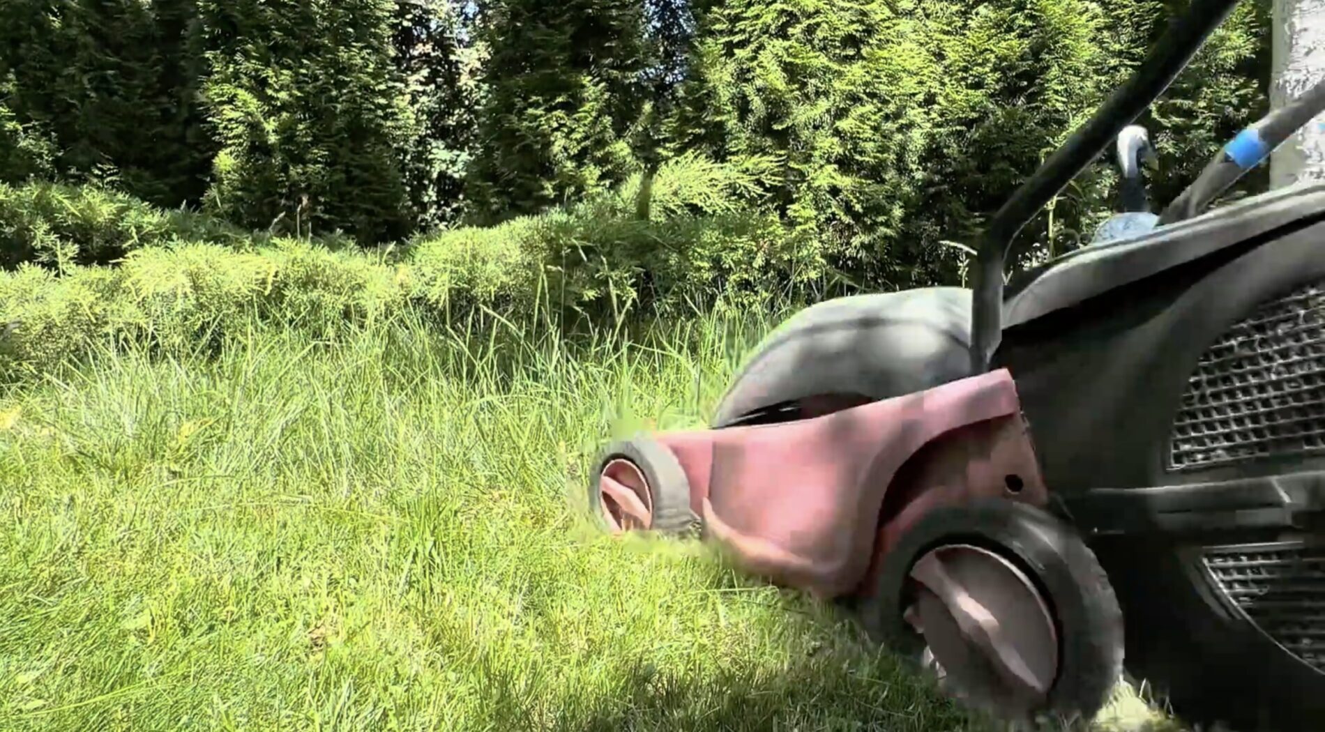 Городники розповіли, як використати на ділянці скошену траву з газону. Фото: YouTube Дача Кухня Відпочинок