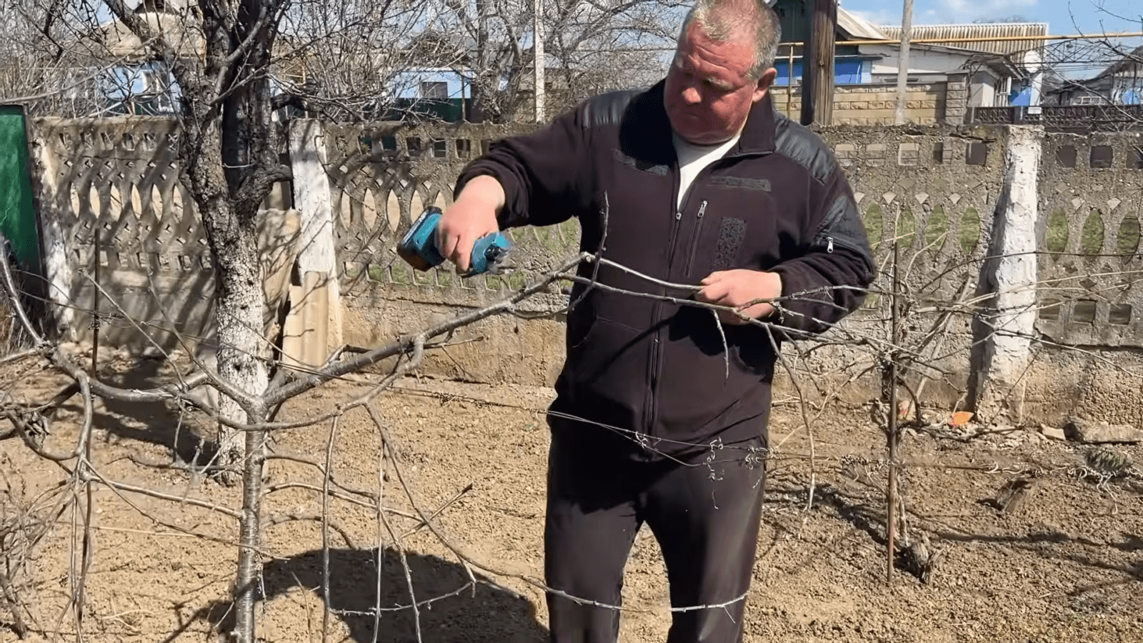 Городники розповіли про догляд за виноградом навесні. Фото: YouTube/Корисне TV