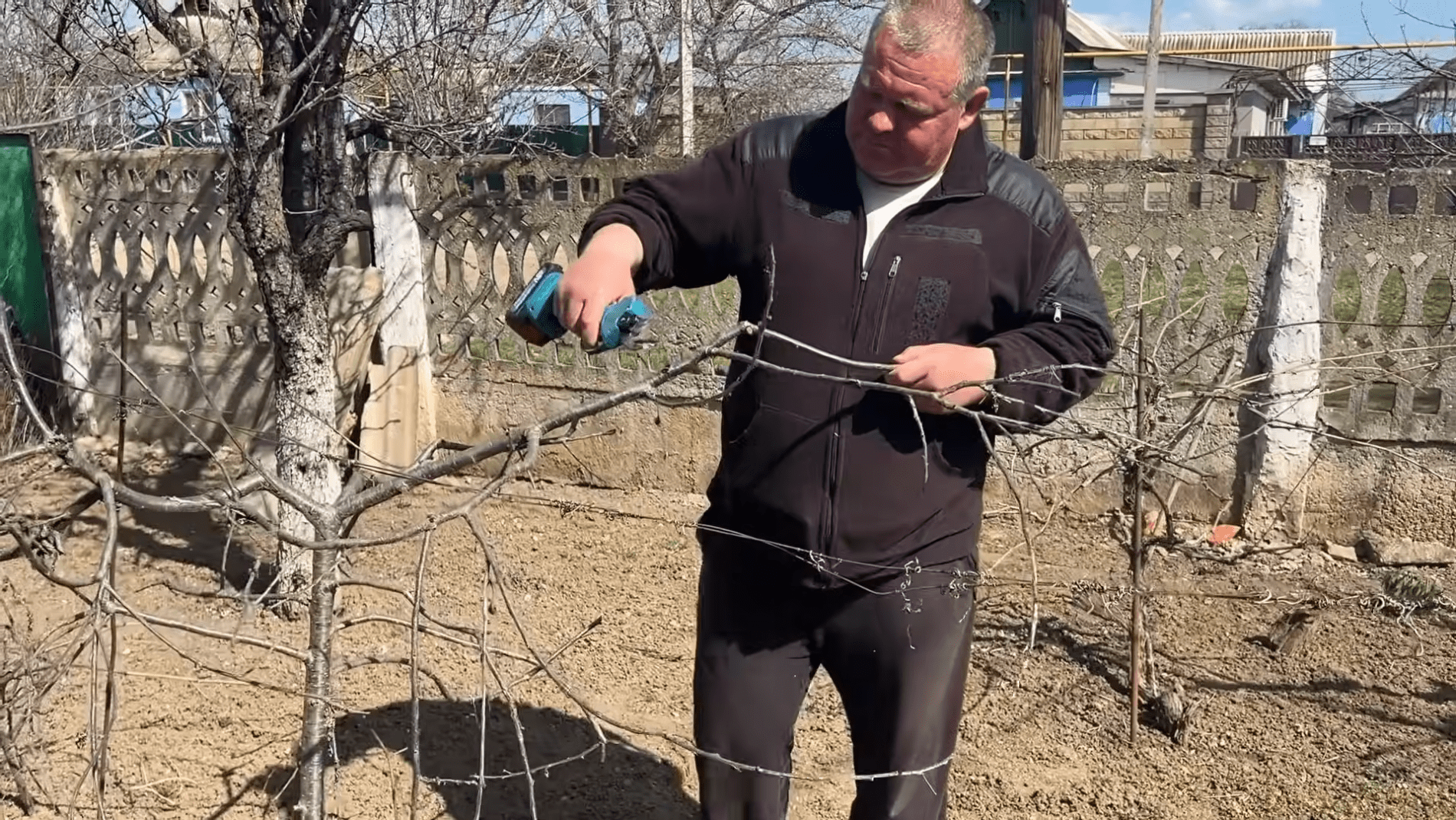 Городники розповіли про догляд за виноградом навесні. Фото: YouTube/Корисне TV