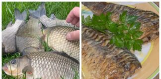 Кулінари поділилися рецептом карася в сметані. Фото: YouTube Taras Cooks Fish