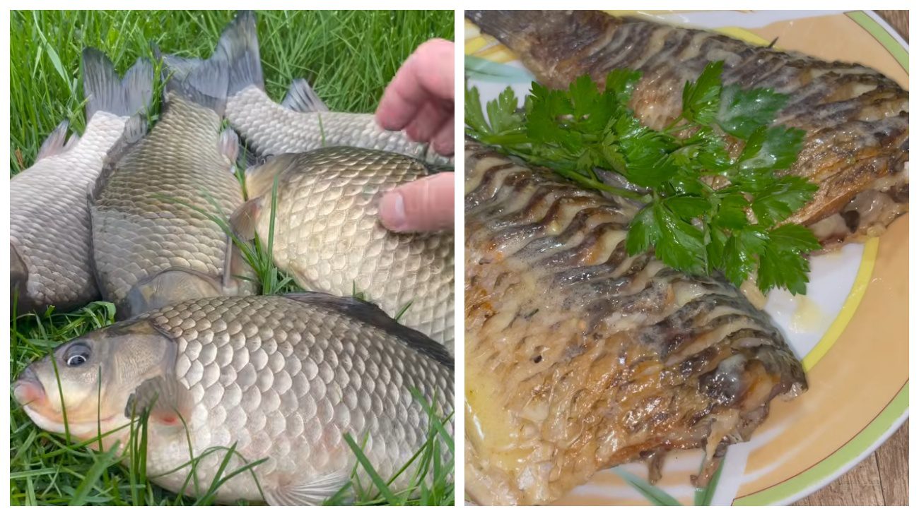 Кулінари поділилися рецептом карася в сметані. Фото: YouTube Taras Cooks Fish
