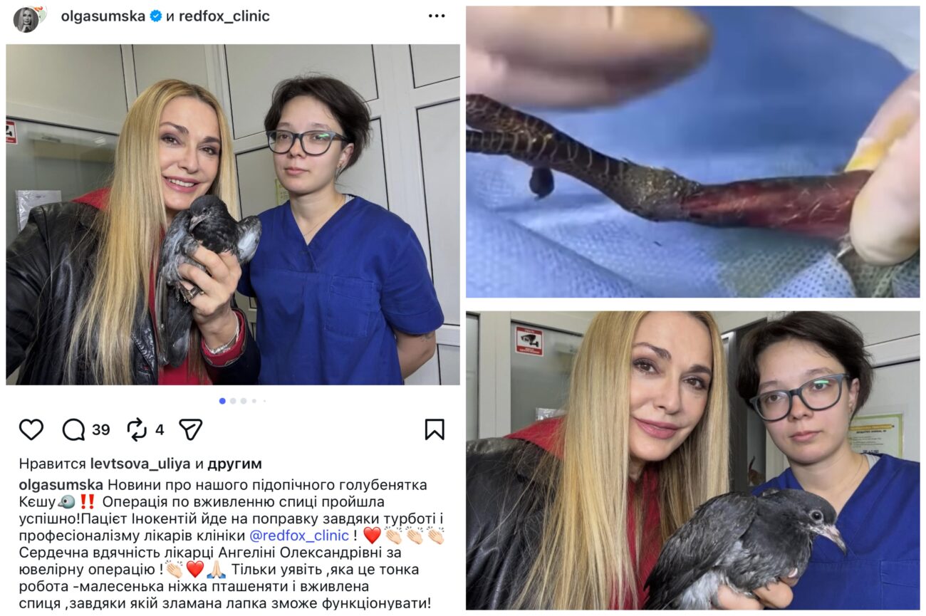 Ольга Сумська розповіла, як врятувала на вулиці пташенятко. Фото: Instagram olgasumska  